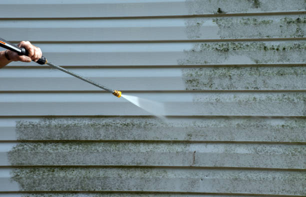 Best Driveway Pressure Washing  in Bonduel, WI